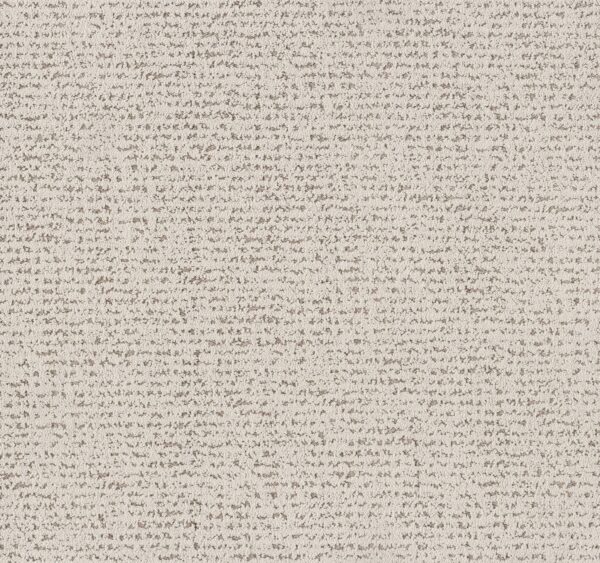 Anderson Tuftex Carpet Tangent Vintage Find 00105_ZZ328