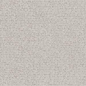 Anderson Tuftex Carpet Tangent Grey Fox 00112_ZZ328