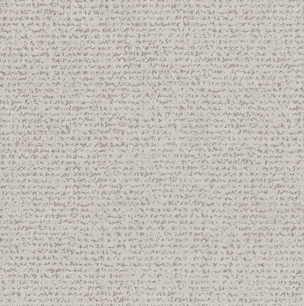 Anderson Tuftex Carpet Tangent Grey Fox 00112_ZZ328