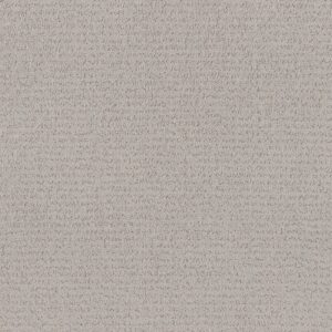 Anderson Tuftex Carpet Tangent Smooth Stones 00113_ZZ328