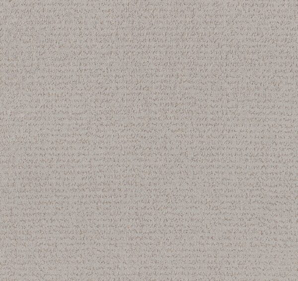 Anderson Tuftex Carpet Tangent Smooth Stones 00113_ZZ328