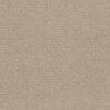 Anderson Tuftex Carpet Tangent Fresh Bread 00114_ZZ328