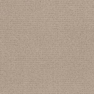 Anderson Tuftex Carpet Tangent Fresh Bread 00114_ZZ328