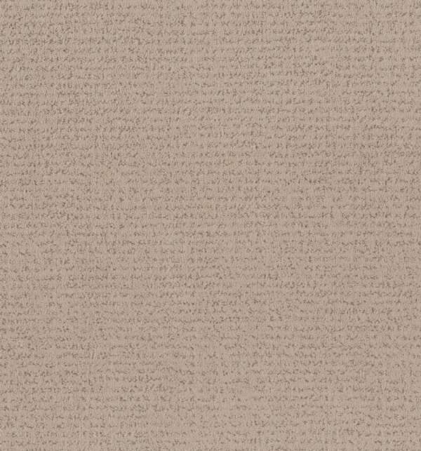 Anderson Tuftex Carpet Tangent Fresh Bread 00114_ZZ328