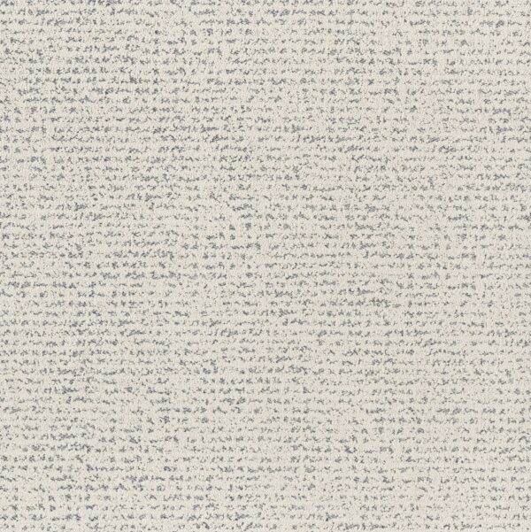 Anderson Tuftex Carpet Tangent Serenity 00400_ZZ328