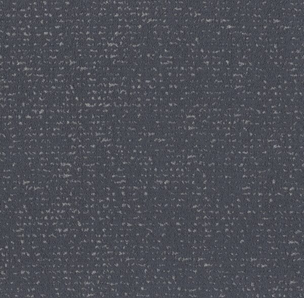 Anderson Tuftex Carpet Tangent Washed Navy 00401_ZZ328