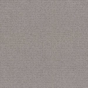 Anderson Tuftex Carpet Tangent Pewter 00501_ZZ328