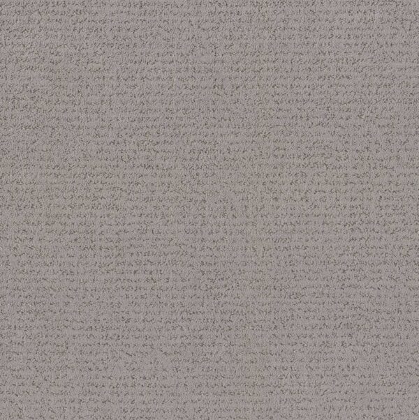 Anderson Tuftex Carpet Tangent Pewter 00501_ZZ328