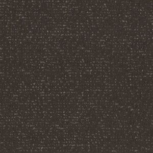 Anderson Tuftex Carpet Tangent Charcoals 00505_ZZ328