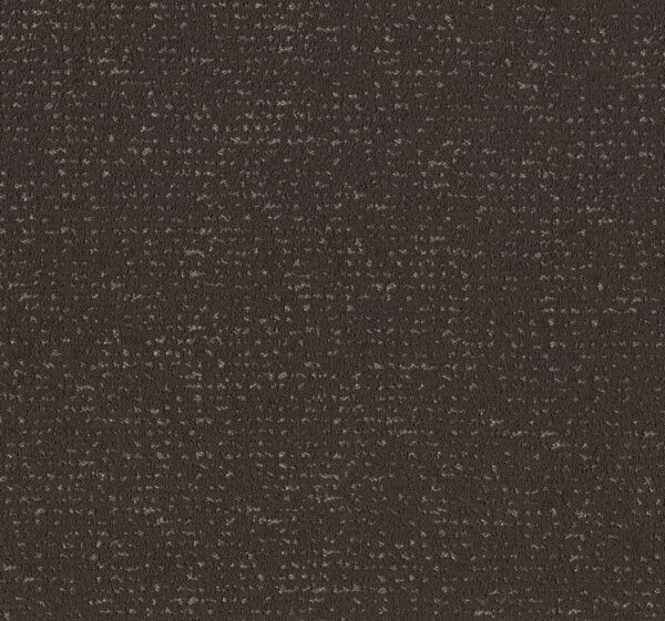 Anderson Tuftex Carpet Tangent Charcoals 00505_ZZ328