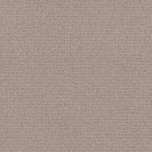 Anderson Tuftex Carpet Tangent Pebble Path 00700_ZZ328