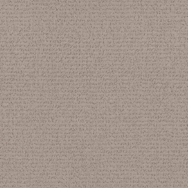 Anderson Tuftex Carpet Tangent Pebble Path 00700_ZZ328