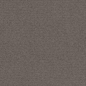 Anderson Tuftex Carpet Tangent Walnut 00705_ZZ328