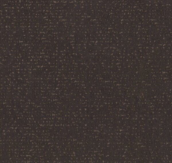 Anderson Tuftex Carpet Tangent Dark Roast 00706_ZZ328