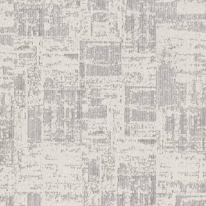 Anderson Tuftex Carpet Discover First Frost 00100_ZZ329