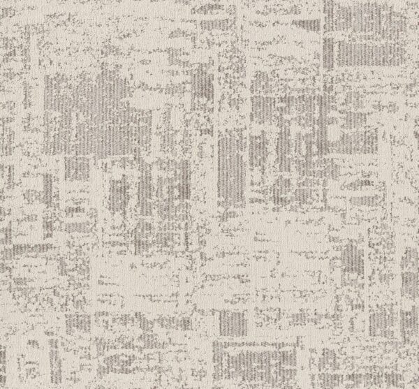 Anderson Tuftex Carpet Discover Canvas 00102_ZZ329