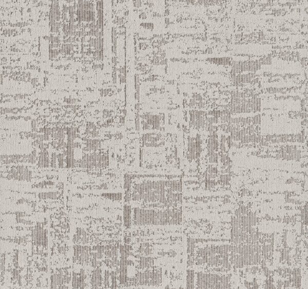 Anderson Tuftex Carpet Discover Grey Fox 00112_ZZ329