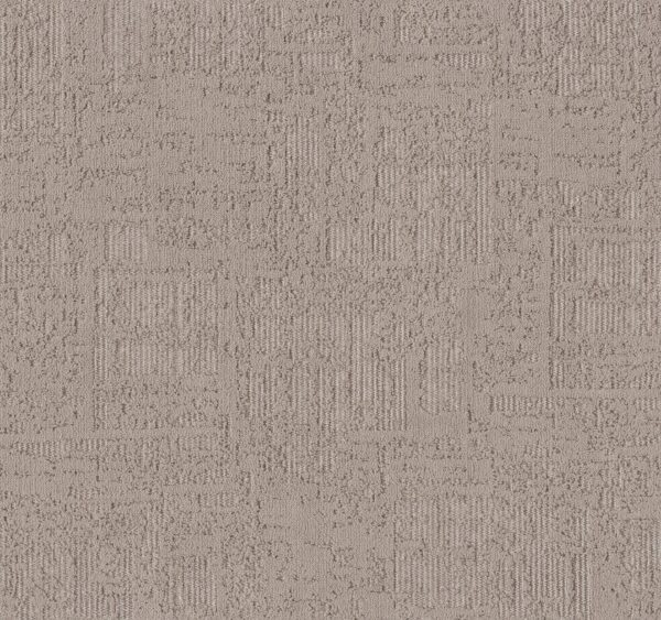 Anderson Tuftex Carpet Discover Pebble Path 00700_ZZ329