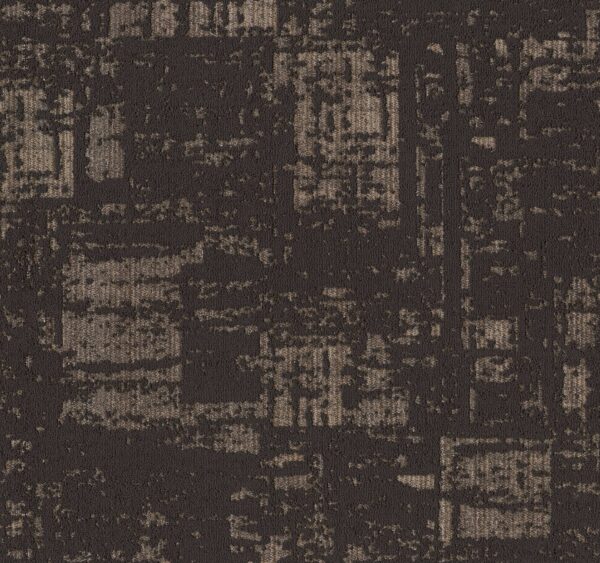 Anderson Tuftex Carpet Discover Dark Roast 00706_ZZ329