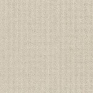 Anderson Tuftex Carpet Vignette Crisp Linen 00100_ZZ330
