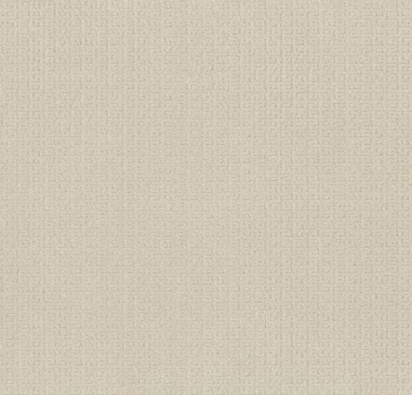 Anderson Tuftex Carpet Vignette Crisp Linen 00100_ZZ330