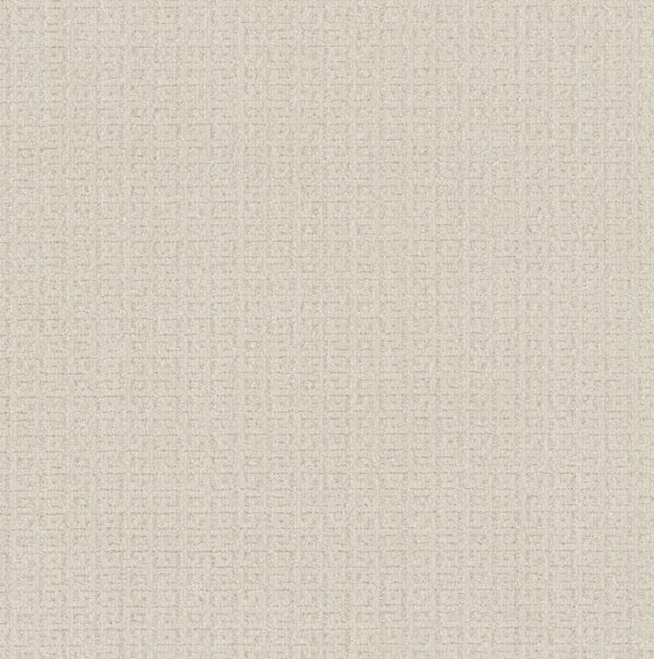 Anderson Tuftex Carpet Vignette Stucco 00120_ZZ330
