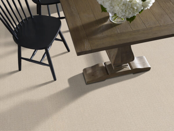 Anderson Tuftex Carpet Vignette Whitewash 00121_ZZ330 - Image 2