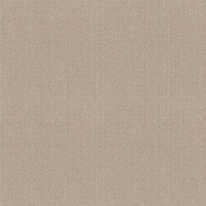 Anderson Tuftex Carpet Vignette Spanish Sand 00122_ZZ330