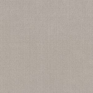 Anderson Tuftex Carpet Vignette Whisper 00123_ZZ330