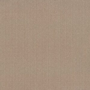 Anderson Tuftex Carpet Vignette Pacific Bluff 00127_ZZ330