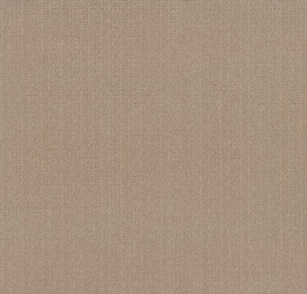 Anderson Tuftex Carpet Vignette Pacific Bluff 00127_ZZ330