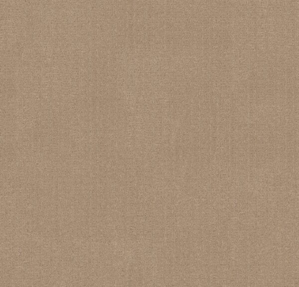 Anderson Tuftex Carpet Vignette Landmark 00128_ZZ330