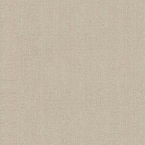 Anderson Tuftex Carpet Vignette Irish Cream 00129_ZZ330