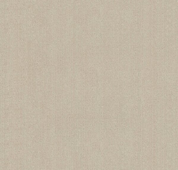 Anderson Tuftex Carpet Vignette Irish Cream 00129_ZZ330