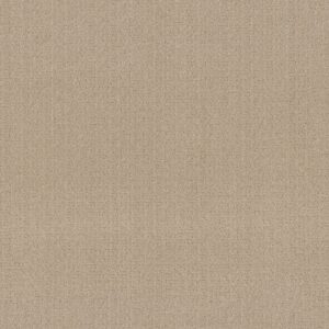 Anderson Tuftex Carpet Vignette Loft Light 00130_ZZ330
