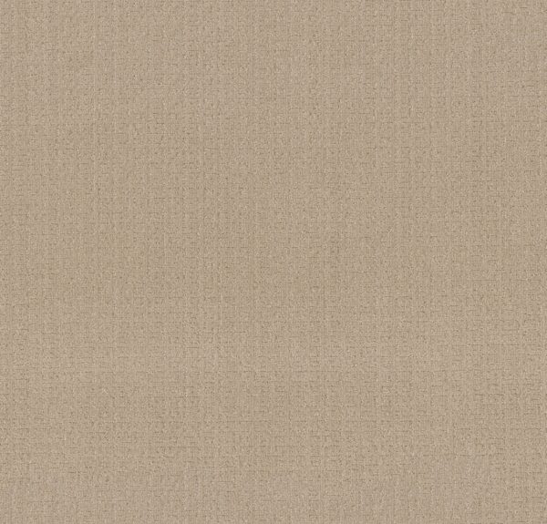 Anderson Tuftex Carpet Vignette Loft Light 00130_ZZ330