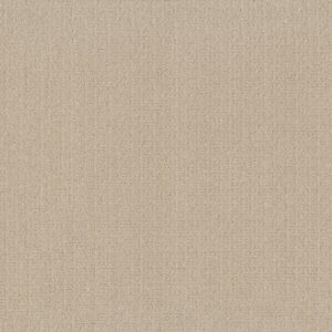Anderson Tuftex Carpet Vignette Cottage 00140_ZZ330