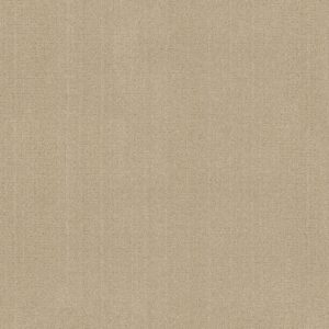 Anderson Tuftex Carpet Vignette Champagne 00141_ZZ330