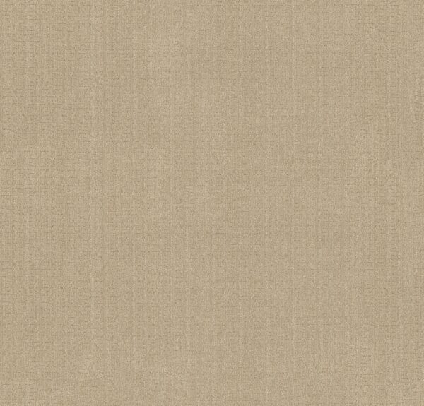 Anderson Tuftex Carpet Vignette Champagne 00141_ZZ330