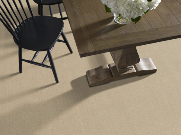 Anderson Tuftex Carpet Vignette Champagne 00141_ZZ330 - Image 2