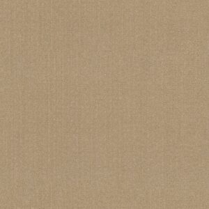 Anderson Tuftex Carpet Vignette Riviera Beach 00220_ZZ330