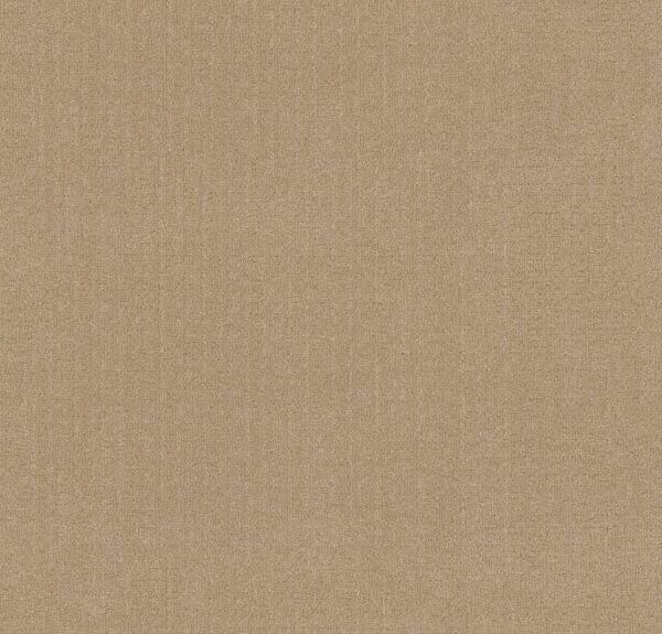 Anderson Tuftex Carpet Vignette Riviera Beach 00220_ZZ330