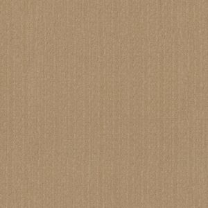Anderson Tuftex Carpet Vignette Celebration 00221_ZZ330