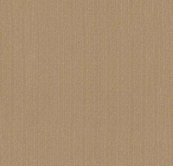 Anderson Tuftex Carpet Vignette Celebration 00221_ZZ330