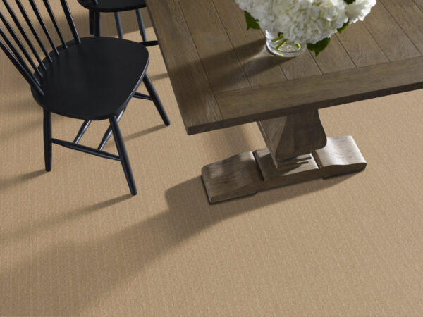Anderson Tuftex Carpet Vignette Celebration 00221_ZZ330 - Image 2