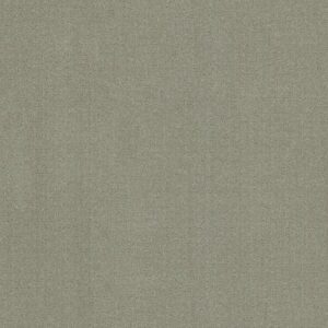 Anderson Tuftex Carpet Vignette Mint Leaf 00341_ZZ330