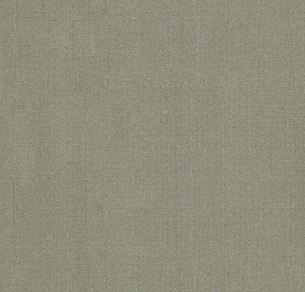 Anderson Tuftex Carpet Vignette Mint Leaf 00341_ZZ330