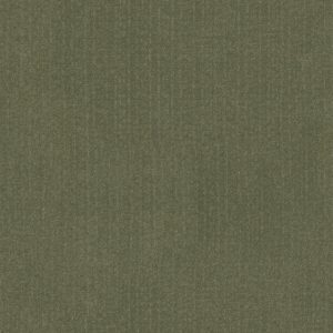 Anderson Tuftex Carpet Vignette Fern 00344_ZZ330