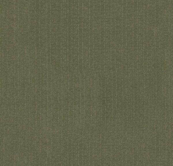 Anderson Tuftex Carpet Vignette Fern 00344_ZZ330
