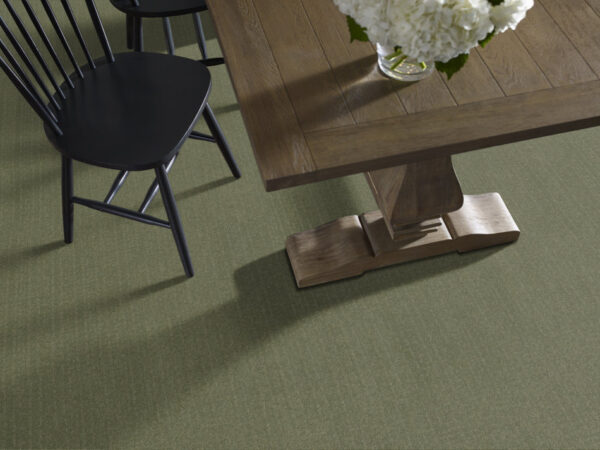 Anderson Tuftex Carpet Vignette Fern 00344_ZZ330 - Image 2